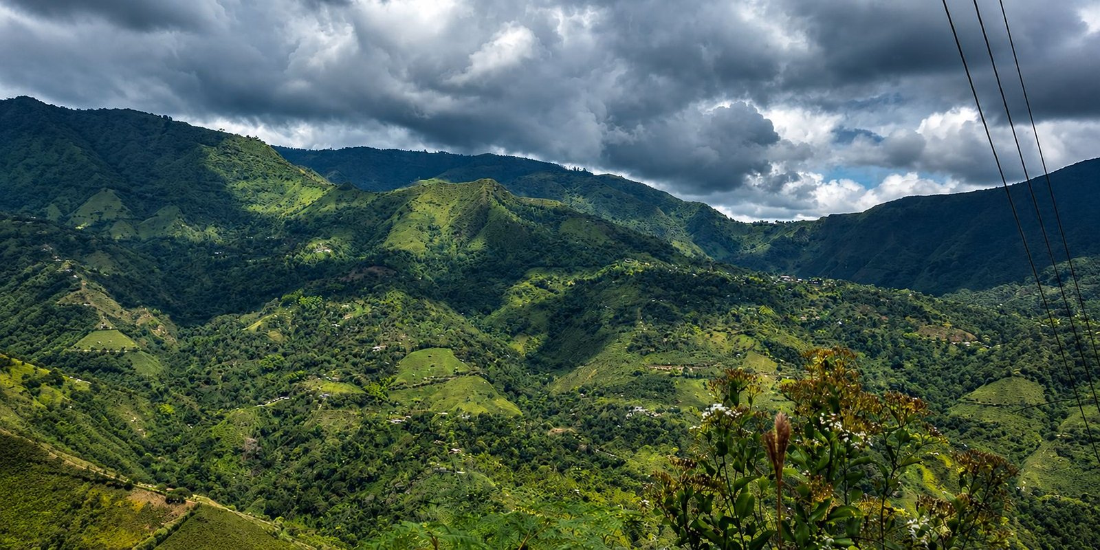 Coffee plantation mountains in Cauca